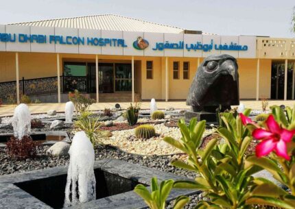 Falcon hospital tour with transport