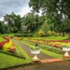Botnical-Garden-Kandy