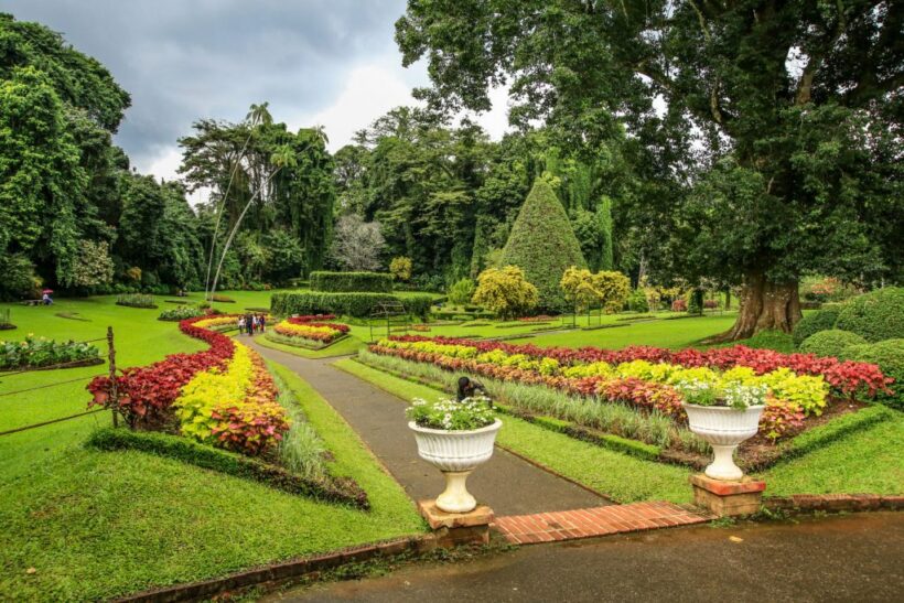 Botnical-Garden-Kandy