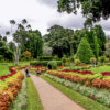 kandy botanical gardens