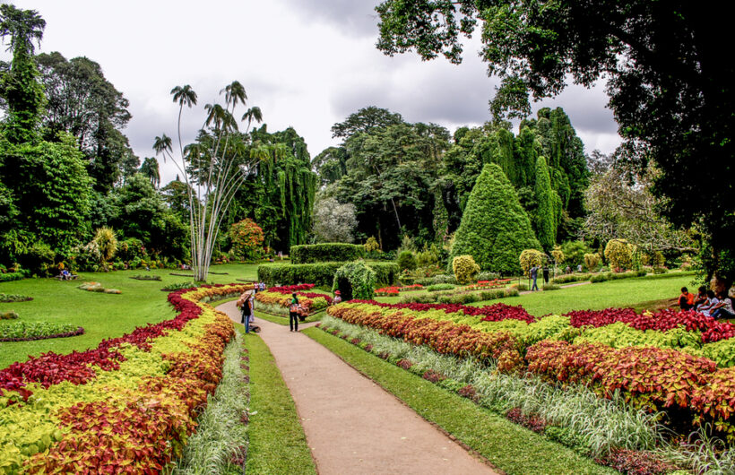 kandy botanical gardens